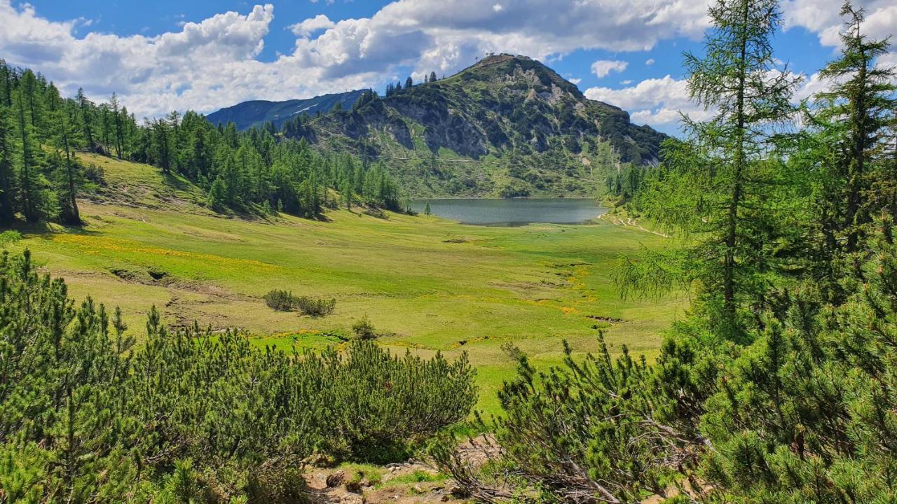 Apartman Tauplitz Dış mekan fotoğraf